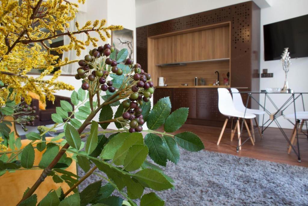 Madeira Loft I - City Center 丰沙尔 外观 照片